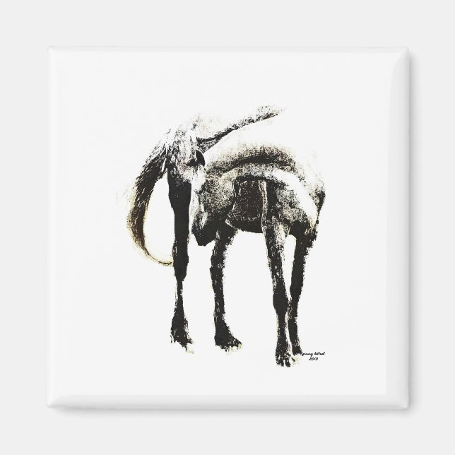 Imã O Cavalo (Frente)