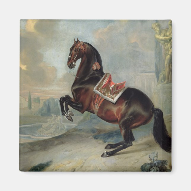 Imã O cavalo da baía escura "Valido" (Frente)