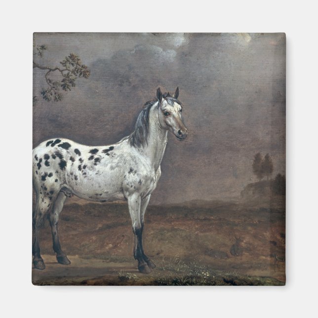 Imã O Cavalo Piebald, 1653 (Frente)