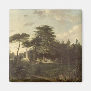 Imã O cedro de Líbano no Jardin des Plantes