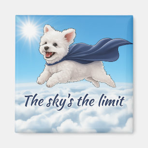 Imã O Céu é o Limite