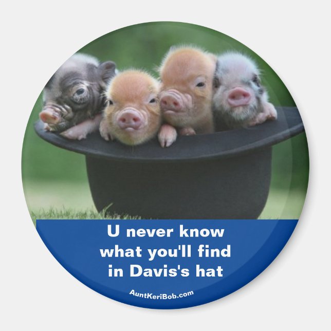 Imã O chapéu de Davis (Frente)