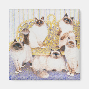 Imã O chocolate desnata