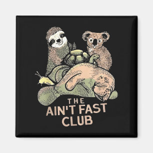 Imã O Clube Ain Fast Koala Sloth Turtle