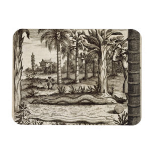 Ímã O cobra de pedra, de "China ilustrou" por Athan