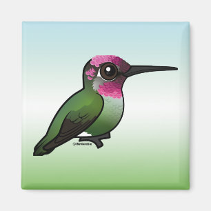 Imã O colibri de Anna