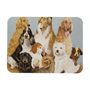 Ímã O comensal dos cães