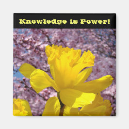 Imã O conhecimento dos ímanes do localizador escolar é