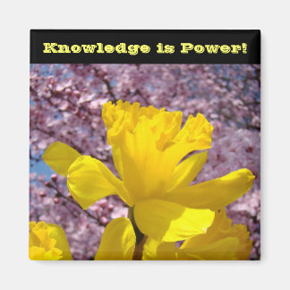 Imã O conhecimento dos ímanes do localizador escolar é