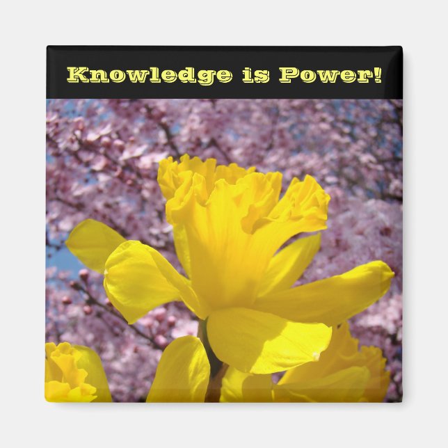 Imã O conhecimento dos ímanes do localizador escolar é (Frente)