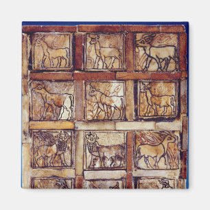 Imã O conselho do jogo, animais do campo e floresta