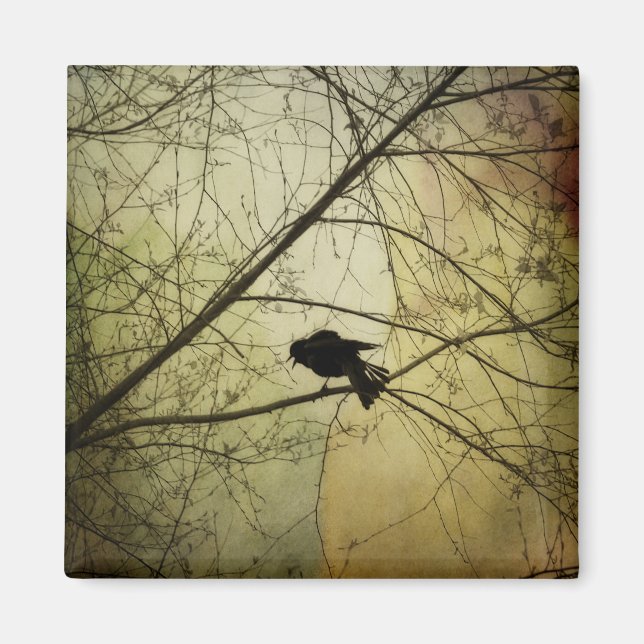 Imã O corvo fala (Frente)