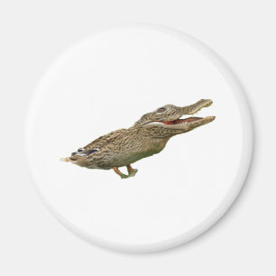 Imã O Crocoduck