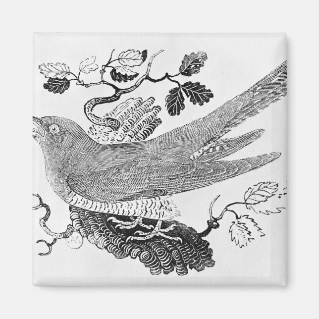 Imã O Cuco (Frente)