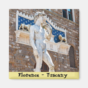 Imã O David de Michelangelo - a Florença, Toscânia,