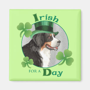 Imã O dia Berner de St Patrick