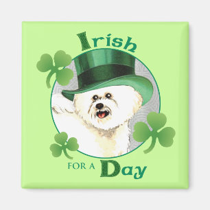 Imã O dia Bichon de St Patrick