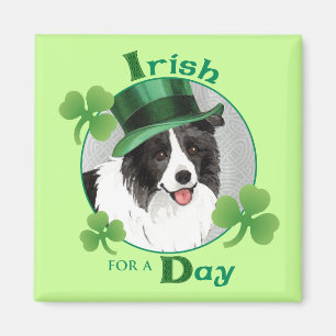 Imã O dia border collie de St Patrick