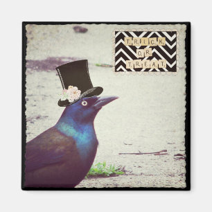 Imã O Dia das Bruxas Grackle