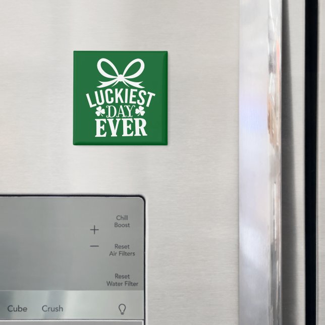 Imã O Dia Mais Feliz De Todos Os Dias de São Patrícios (In Situ (Fridge))