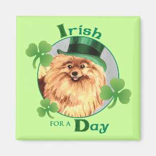 Imã O dia Pomeranian de St Patrick