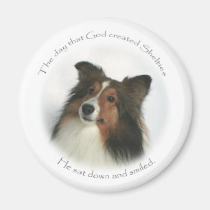 Imã O dia Shelties era ímã criado