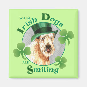 Imã O dia Terrier Wheaten de St Patrick