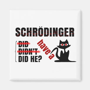 Imã O Dillema de Schrodinger