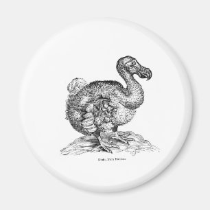 Imã O Dodo