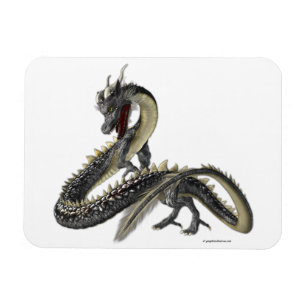 Ímã O Dragão de Prata