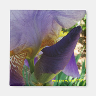 Imã O espaço entre