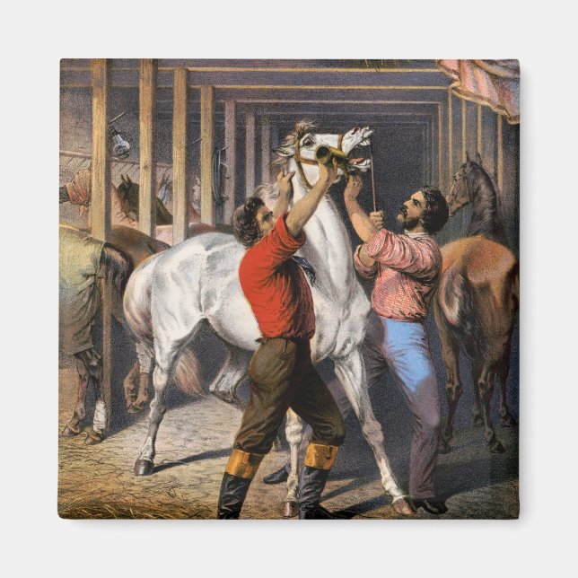 Imã O Excelente do Invigorador de Cavalo da Índia Orie (Frente)