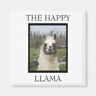 IMÃ O FELIZ LLAMA MAGNET
