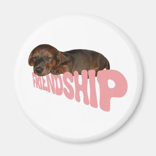 Imã O filhote de cachorro/cão da amizade é o melhor