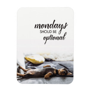 Ímã O filhote de cachorro segundas-feiras do doxie do