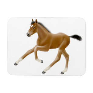 Ímã O Futuro Magneto Premium da Baía de Campeão