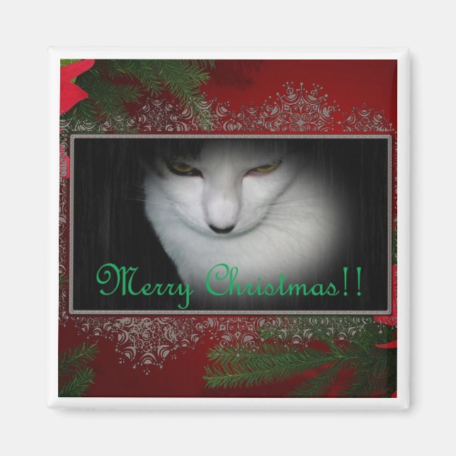 Imã O gatinho anuncia o Natal! (Frente)