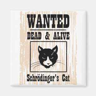 Imã O gato de Schrodinger querido