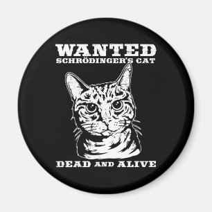Imã O gato de Schrodinger quis inoperante ou vivo