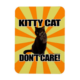Ímã O gato do gatinho não se importa