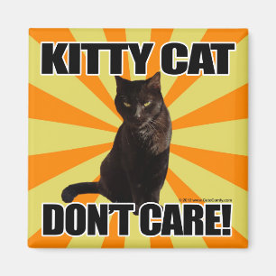 Imã O gato do gatinho não se importa