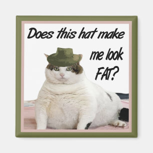 Imã O gato e o ímã do chapéu