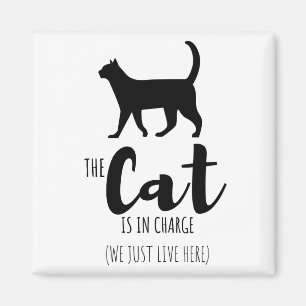 Imã O Gato Está No Comando (Nós Apenas Vivemos Aqui)