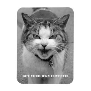 Ímã O gato irritado "obtem seu próprio Covfefe!" ím