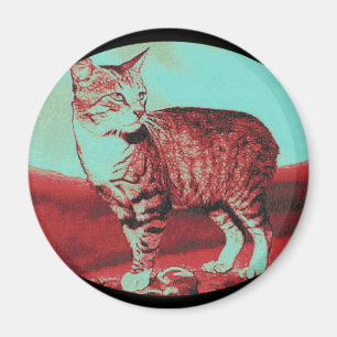 Imã o gato Manx