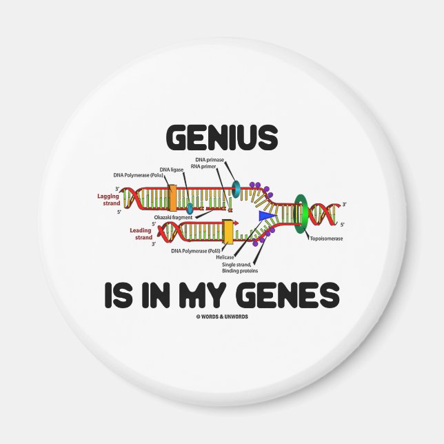 Imã O Genius Está Em Meus Genes (Replicação De DNA) (Frente)