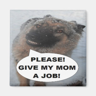 Imã O german shepherd do ímã dá por favor a minha m