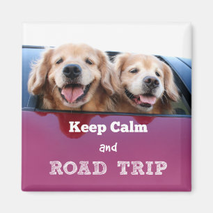Imã O golden retriever mantem a calma e a viagem por