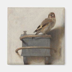 Imã O Goldfinch