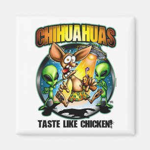 Imã O gosto das chihuahuas gosta do ímã da galinha